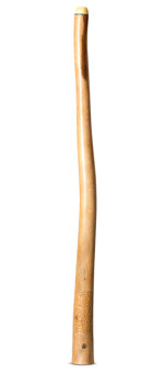 Wix Stix Opal Didgeridoo (WS407)